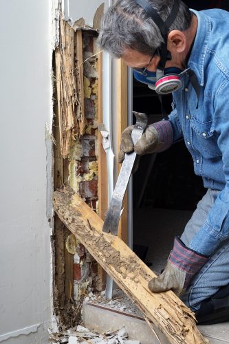 Tucson Termite Treatment
